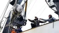 Из «китовой тюрьмы» в Приморье выпустили последнюю партию белух
