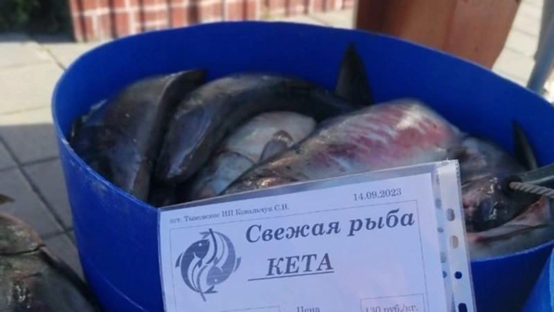 Кету по 150 рублей за килограмм привезли жителям Смирныховского района 14 сентября 