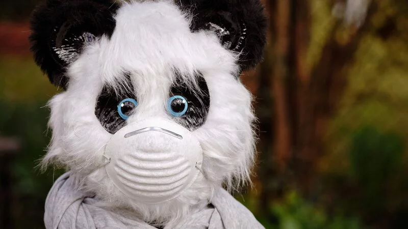 Сахалинская область проходит эпидемию коронавируса стабильно и без скачков