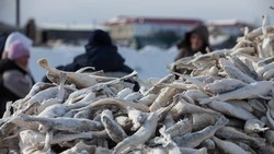 Свежую навагу и камбалу выставили на продажу в Южно-Сахалинске 17 февраля