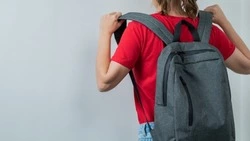 Госдума в третьем чтении приняла закон о трудовом воспитании школьников