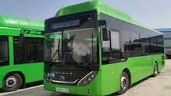 На маршрут Южно-Сахалинск — Долинск вышли 10 зеленых автобусов на газовом топливе
