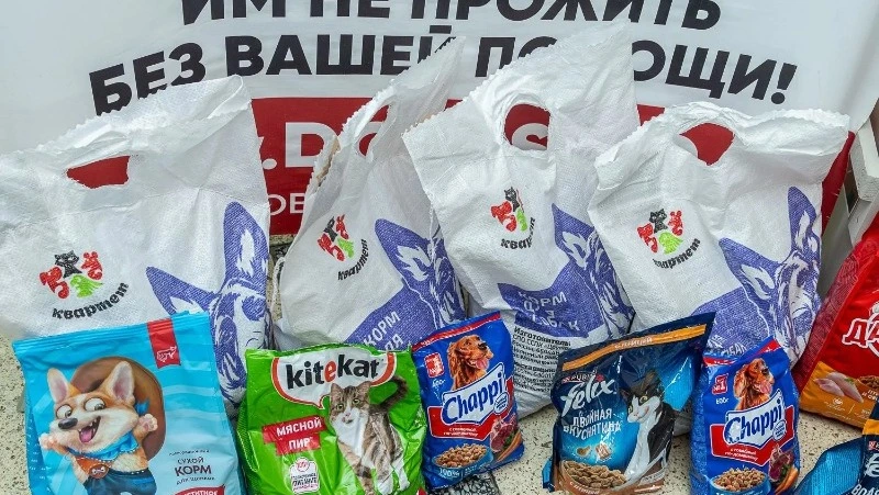 Сахалинцы наполнили «Коробку добра» для бездомных животных