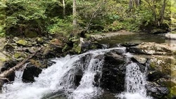 Валерий Лимаренко напомнил о самом красивом водопаде на Сахалине