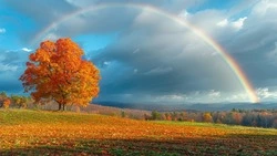 День осеннего равноденствия 2024: когда будет, история, приметы, что нельзя делать