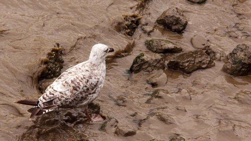 В Охинском районе коммунальное предприятие уличили в поставке некачественной воды
