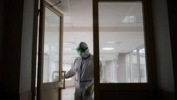 Роспотребнадзор не зафиксировал завоза вируса Нипах в Россию