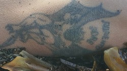 Труп мужчины с татуировкой выбросило на берег в Корсаковском районе 6 ноября