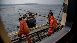 Ученые рекомендовали не устанавливать РУЗы на четырех реках Сахалина