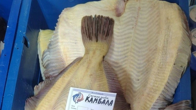 Камбалу, терпуг и минтай привезут в шесть магазинов Южно-Сахалинска