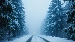 Трассу Холмск — Томари — аэропорт Шахтерск закрыли для движения из-за метели