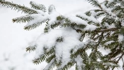 Ухудшение погоды на Кунашире может повлиять на авиасообщение в регионе