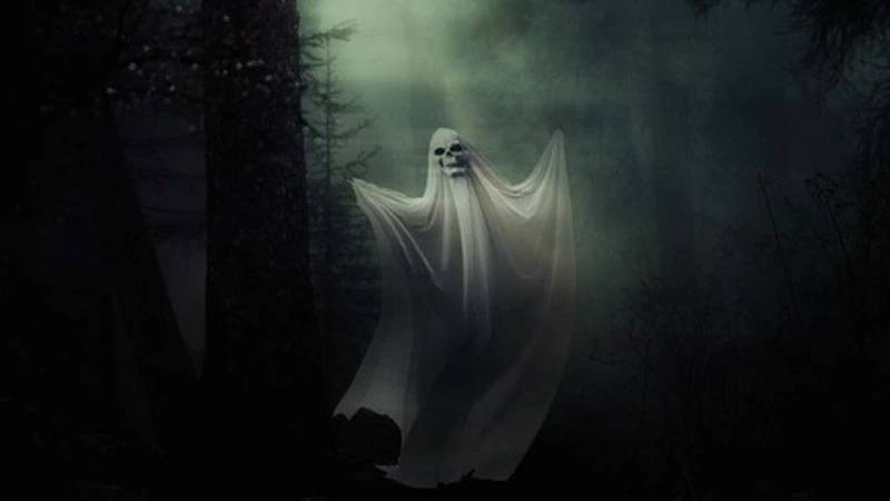 Жительница Южно-Сахалинска засняла привидение (ВИДЕО)