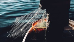 Генпрокуратура: более 6000 протоколов составили на любителей незаконной рыбалки в ДФО