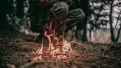 Девять районов Сахалинской области пострадали от лесных пожаров с начала сезона