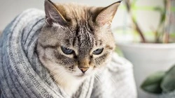 Батареи потеплели во всех районах Сахалина