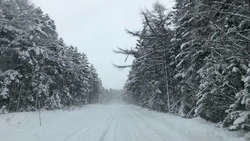 Метель остановила движение автобусов на трассе Южно-Сахалинск — Оха