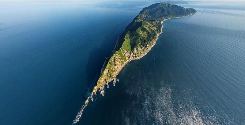 Поездка в Долинский район и День торговли на Сахалине: анонс недели с губернатором
