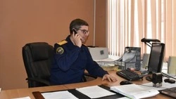 Следком начал проверку после гибели рабочего в лесу в Томаринском районе