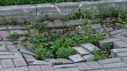 «Природа ждать не стала»: дыра на тротуаре в Поронайске заросла травой   