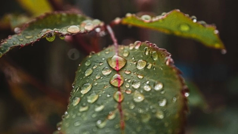 Приметы обо всем на 13 июля 2023 года: что можно и нельзя делать в этот день