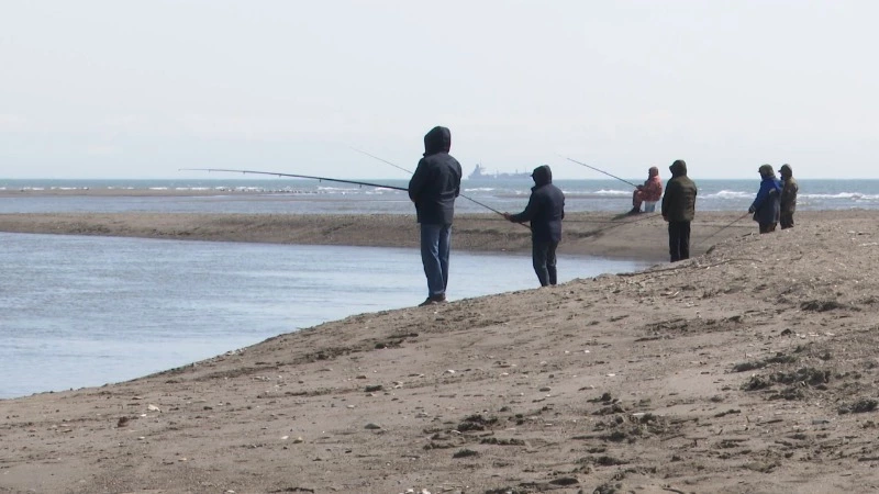 На Сахалине начался сезон легального лова симы