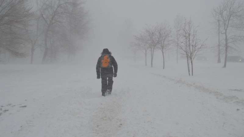 В МЧС предупредили об урагане в пяти районах Сахалинской области