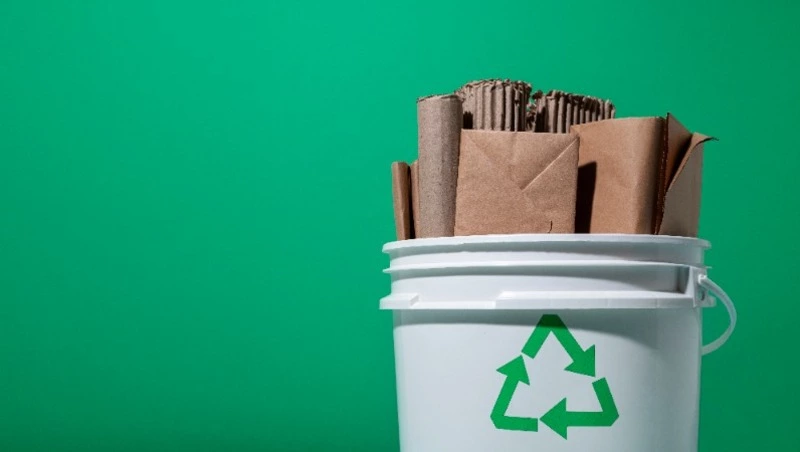 Тысячи волонтеров «Сбера» соберут макулатуру в рамках экочелленджа «БумБатл»