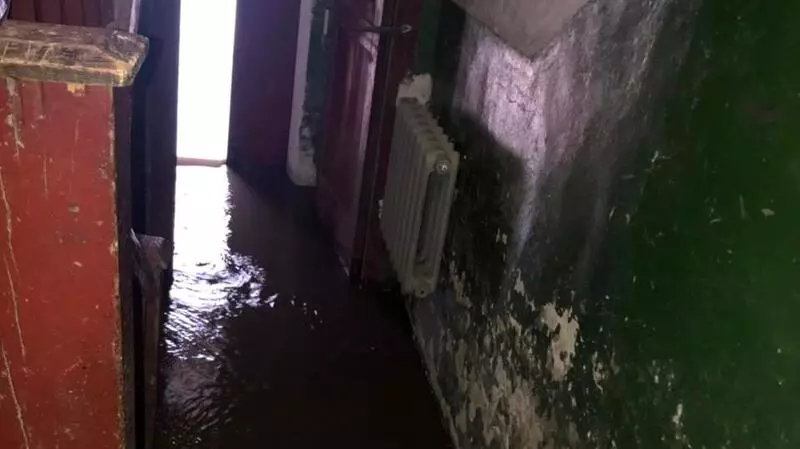 Углегорск топят грунтовые воды. Видео