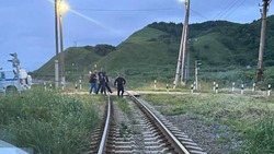 На железнодорожных путях Сахалина поезд насмерть переехал мужчину