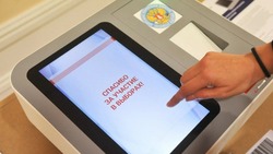 Памфилова: заявки на участие в электронном голосовании подали 740 тысяч россиян