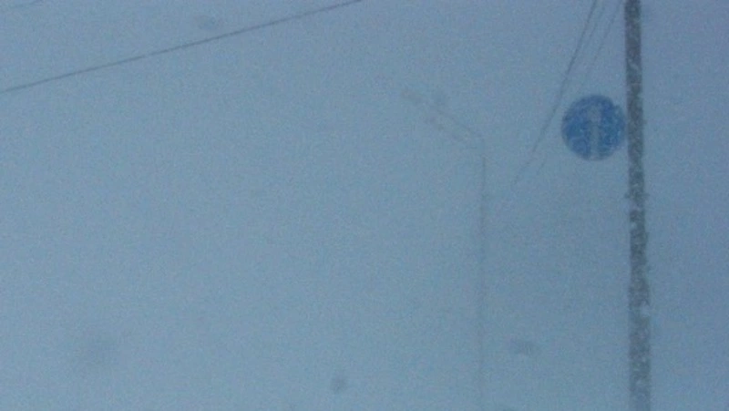 Участок федеральной трассы на севере Сахалина закрыли для автобусов из-за метели