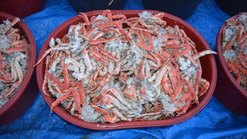 Тухлых крабов продают на юге Сахалина. Рыбаки возмущены