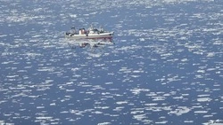 Двое матросов устроили жестокую поножовщину на борту траулера «Остров Итуруп» 