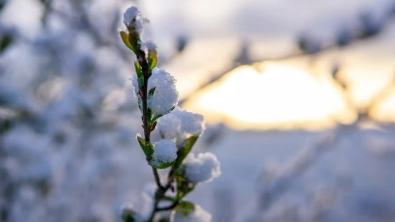 Без существенных осадков и потепление: прогноз погоды на Сахалине и Курилах 26 марта
