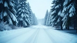 Еще три автобусных маршрута на Сахалине вернулись на линию