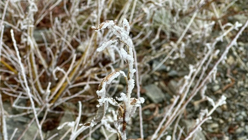 До +10 градусов и дождь: погода в Южно-Сахалинске 17 ноября