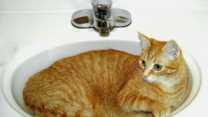 Дети, пациенты и сотни жителей Южно-Сахалинска проведут 25 июня без воды