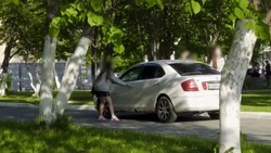 Пьяные подростки устроили издевательство над таксистами в Южно-Сахалинске