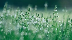 Приметы обо всем на 25 июля 2023 года: что можно и нельзя делать в этот день