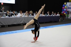 Первенство ДФО по художественной гимнастике стартует на Сахалине 17 января