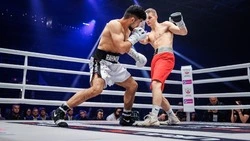 Сахалинцы смогут увидеть турниры международной лиги по MMA Ural FC