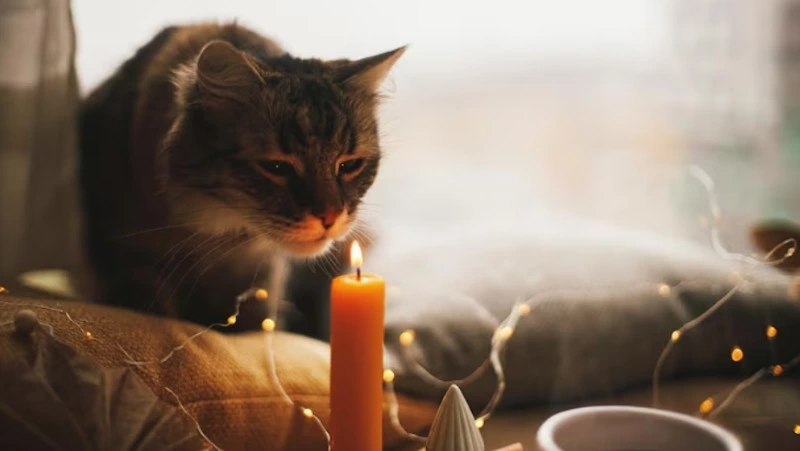 Часть Южно-Сахалинска останется без света 18 декабря 