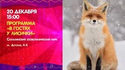 Куда сходить 20 декабря на Сахалине: афиша культурных мероприятий