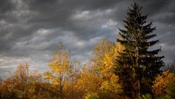 Погода в Южно-Сахалинске 14 сентября: резкое похолодание и облака