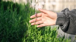 Церковный праздник 3 июля 2025: что нельзя делать в этот день, приметы