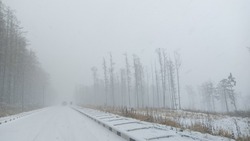 Погода в Южно-Сахалинске 28 ноября: снег и северный ветер