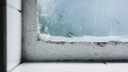 Плесень со всех сторон и ветер в квартирах: на Сахалине засудили нерадивого застройщика