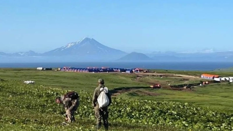 На острове Шумшу участники экспедиции нашли останки погибшего 80 лет назад красноармейца