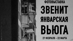 Фотографы представят свои снимки январской метели в Южно-Сахалинске